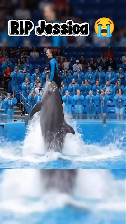 Jessica's video is real or fake #tranding #jessica #orca