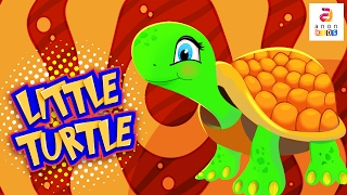 Little Turtle song |Kids Songs and Nursery Rhymes | Nursery Rhymes with Lyrics | Baby Songs