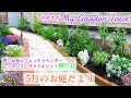 【ガーデンツアー】【半日陰・日向・北向き花壇のご紹介】ラベンダー・つるバラ植え付け/ガーデニング/春・初夏のお花たち