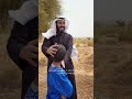 شوف اطفال موريتانيا كيف ظبطهم للقرآن وفرحتهم بالهدية مقطع رهيب 