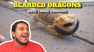 5 Things All Bearded Dragons Hate! *DON'T TOUCH ME*!!