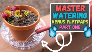 How Much & When To Water Venus Flytraps: Venus Flytrap Care Guide To Watering Part 1 (Updated 2023)