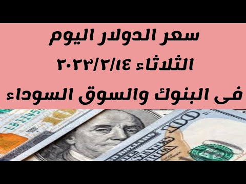 سعر الدولار اليوم الثلاثاء ١٤ فبراير ٢٠٢٣ فى البنوك والسوق السوداء