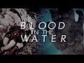 Teen Wolf || Blood in the Water