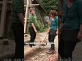 You Don't Need A TV With Mikee Around #woodland #youth #survivalskills #sustainability #learning