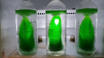 Orgonite Freeze Test!!!