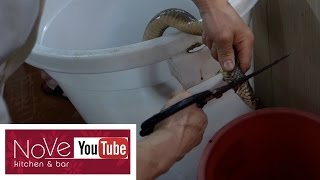 EXTREMELY GRAPHIC: Snake Meat For Dinner - Restaurant Tour Part 2