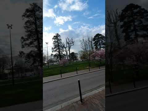 Le PrinTemps à ROANNE