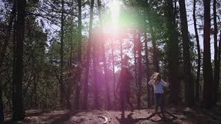 2019 Replanting Our National Forests PSA by Arbor Day Foundation* 2,651 views 2 years ago 1 minute, 1 second