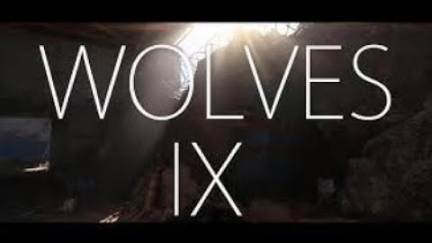 WOLVES IX (TEAMTAGE)