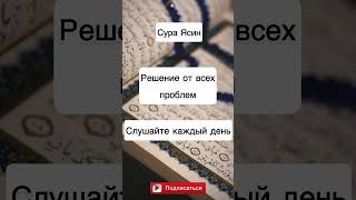 Сура Ясин решение от всех проблем.Слушайте каждый день#ясин #сураясин #куран #аяты