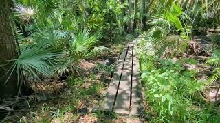 Keep It Tropical & Hike Florida Trail, National Scenic Trail, Flagler Trail Oviedo, Florida