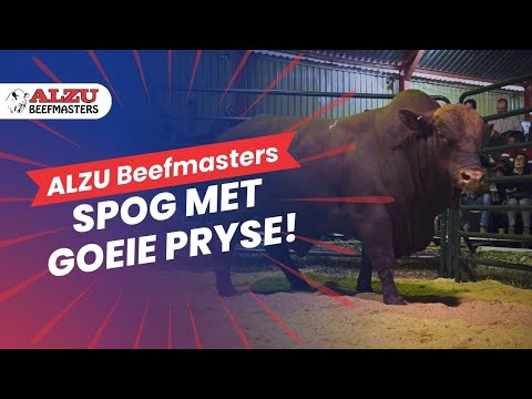 Video: Was beteken spog?