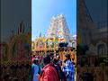 Aum Namo Venkatesaya 🙏🙏🙏#shorts #tirumala #tirupati
