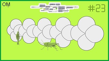 grasshopper beginners tutorial - Short Scripts For Beginners - Video #23 (Solid Union)