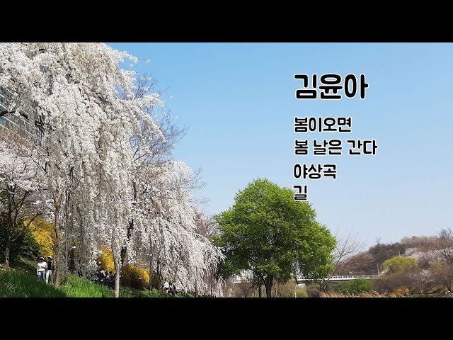 김윤아 : 봄이 오면 / 봄 날은 간다 / 야상곡 / 길 class=