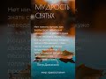 Мудрость святых Петр Дамаскин