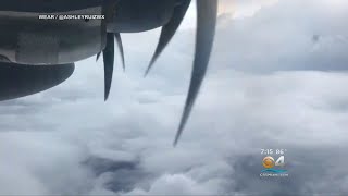 Ocean Expert On Red Tide & Hurricanes