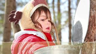 Sugar Maple Seed to Syrup