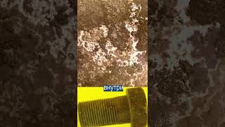 Ядерный Реактор Гигант Строят в России