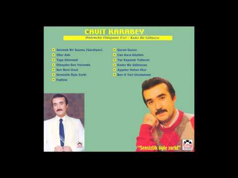 Kader Bir Gülmezse - Cavit Karabey