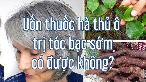 Trị tóc bạc sớm bằng thuốc uốn hà thủ ô đúng cách l nguyên nhân gây ra tóc bạc và cách khắc phục.