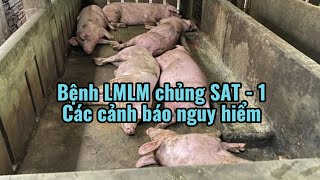 Bệnh lở mồm long móng chủng SAT-1 là biến chủng nguy hiểm mới. Có những khác biệt gì ?