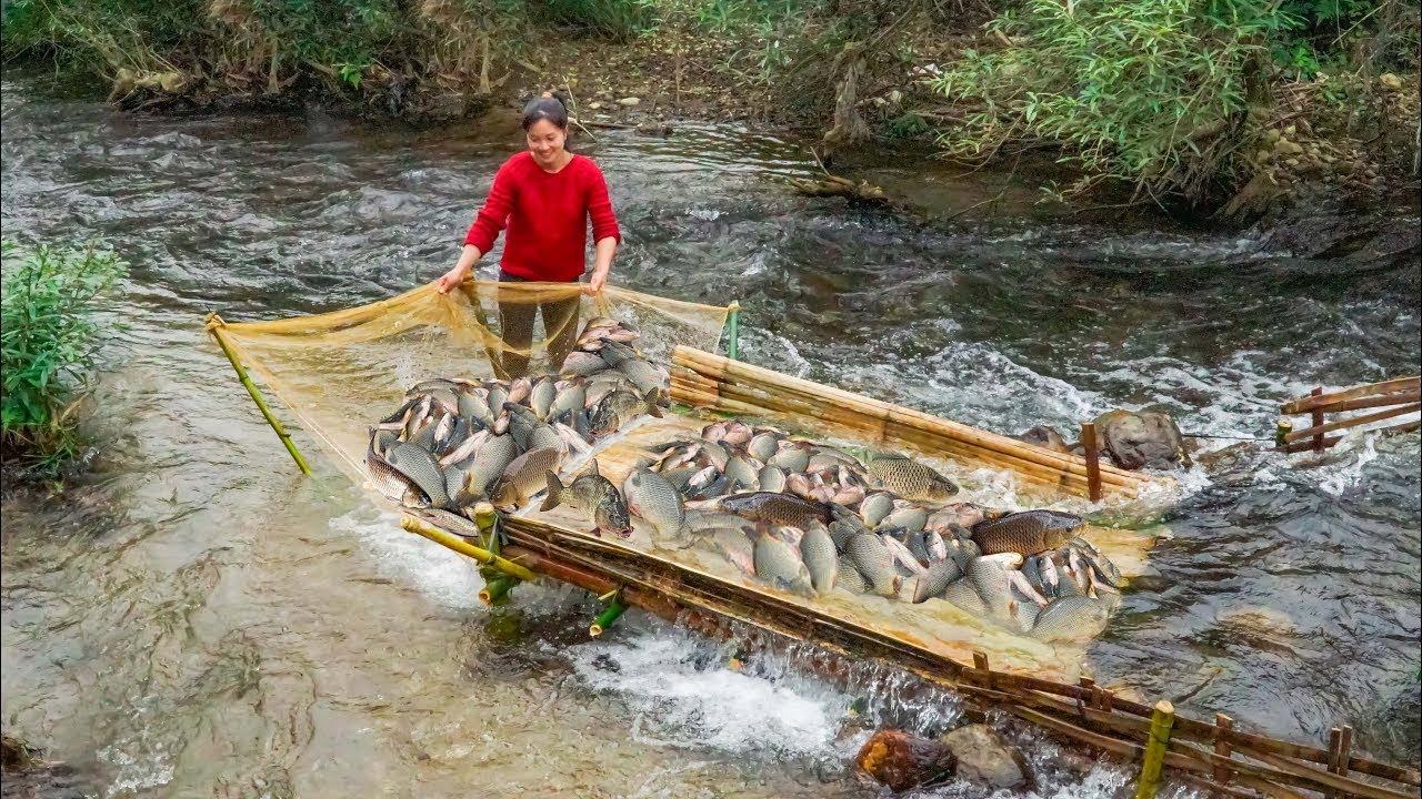 Simple Bamboo Fish Trap Making Technique. The SECRET to Catching Big ...