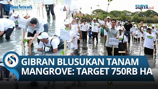 Aksi Wapres Gibran Tanam Mangrove di Tangerang, Dorong Rehabilitasi 750 Ribu Hektare Lahan Pesisir