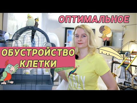 ОПТИМАЛЬНОЕ ОБУСТРОЙСТВО КЛЕТКИ ПОПУГАЯ | КАК РАЗМЕСТИТЬ ЖЕРДОЧКИ ИГРУШКИ И КОРМУШКИ В КЛЕТКЕ