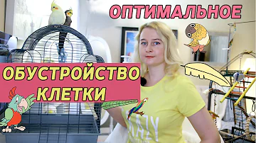 ОПТИМАЛЬНОЕ ОБУСТРОЙСТВО КЛЕТКИ ПОПУГАЯ | КАК РАЗМЕСТИТЬ ЖЕРДОЧКИ ИГРУШКИ И КОРМУШКИ В КЛЕТКЕ