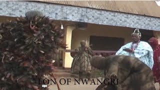 The Fon Of Nwangri At Bfubfu In Nkambe