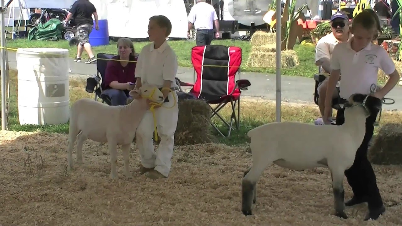 Terryville Country Fair connecticut countryfair terryville YouTube