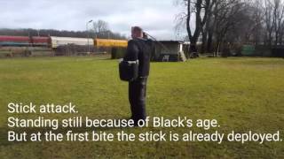KNPV searching, object guard, stick attack. 12 month old mali