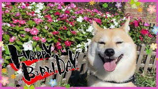 5歳の誕生日バースデー生放送