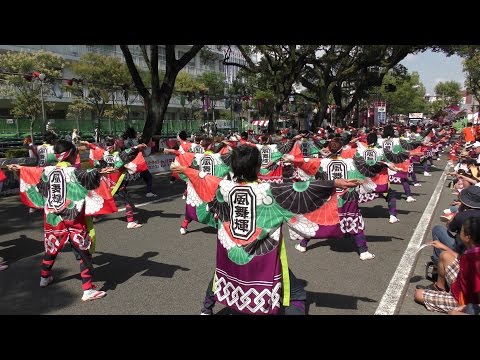 第18回よさこい全国大会　風舞輝～fubuki～　追手筋南演舞
