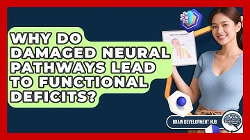 Why Do Damaged Neural Pathways Lead To Functional Deficits? - Brain Development Hub
