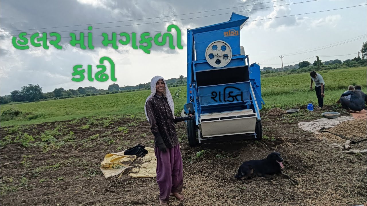 હલર માં મગફળી કાઢતી વખતે પાસો પાથરા માંથી સાપ નીકળ્યો અને બાજુના ખેતરમાં વયો ગયો અને મગફળી કાઢી નાખી