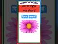 भारत का राष्ट्रीय फूल क्या है#gk #facts #quiz @brgkstudy5858 @creatorkrishna-o7m
