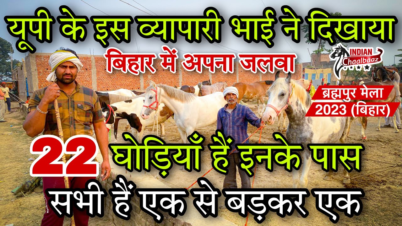 यूपी के इस व्यापारी भाई ने 22 घोड़ियाँ लाकर दिखाया बिहार में अपना जलवा Brahmapur Mela 2023