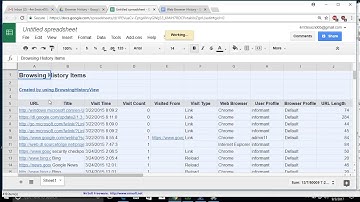 Nirsoft - Mount Forensic Image & Extract Browser History with Browser History View
