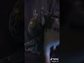 meaw meaw the kitten #funny #amnewbutnottheleast #kitten #cat #animalshorts