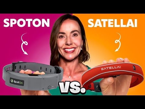 Spoton Vs Satellai Comparison video