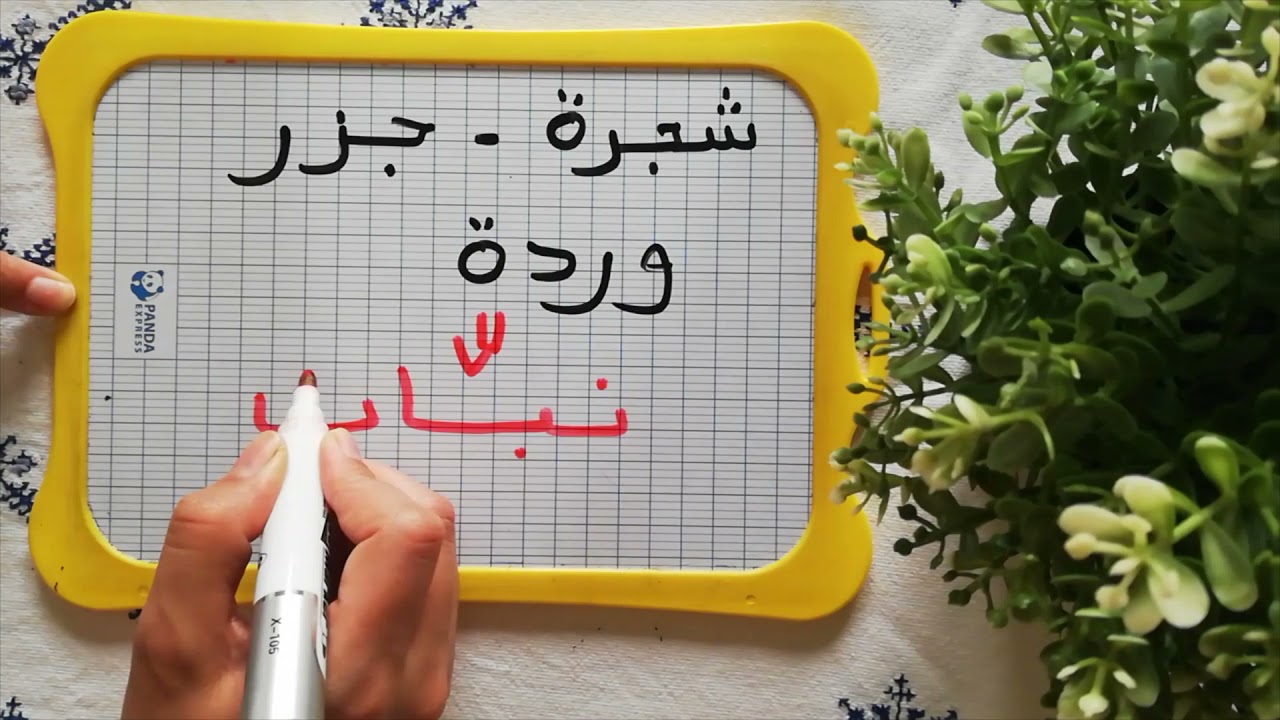 درس9/تعرف على اقسام الكلمة بكل بساطة :القسم الاول_الاسم😊 #اقسام_الكلمة 😊# الاسم😉#محو_الامية