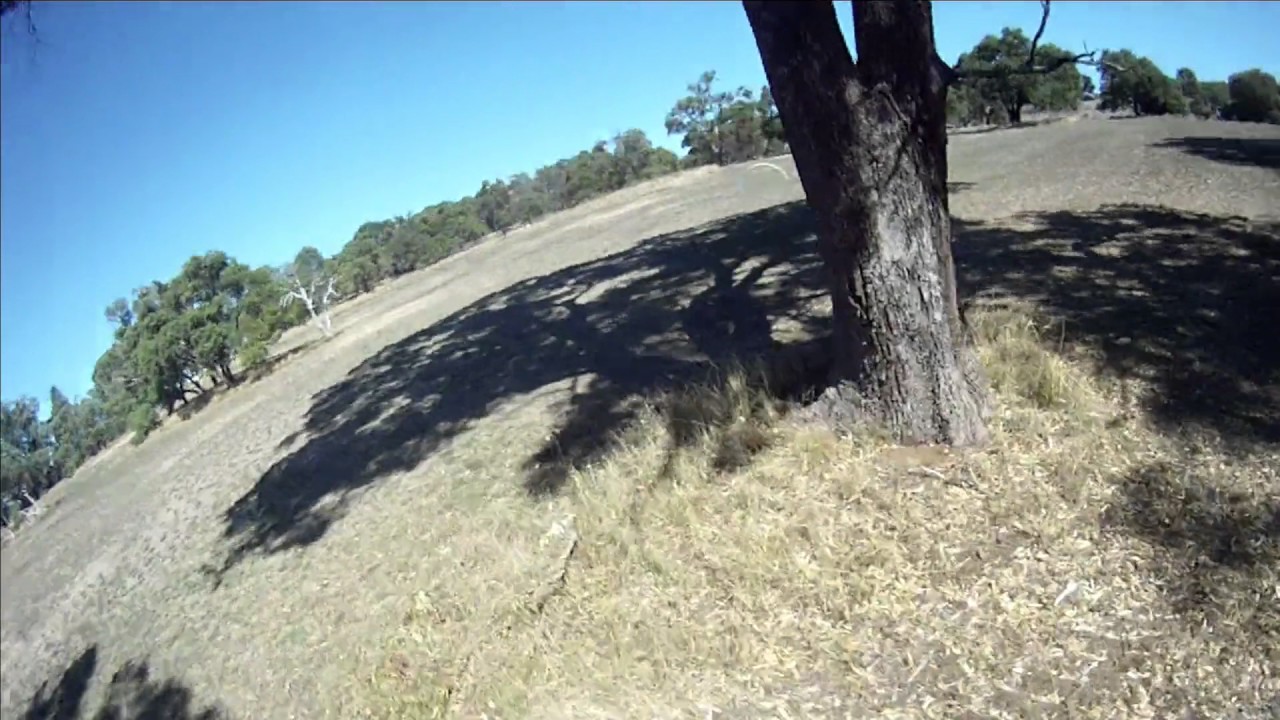 Diatone Crusader GT2 200 at the park