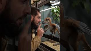 A pet shop of live dinosaurs