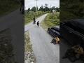 The ending #brasil #mexico #usa #rider #police #funny #viralvideo