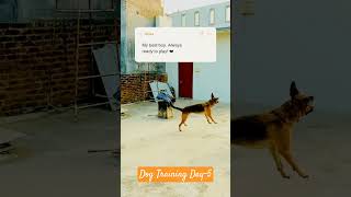 DTD-5 #leo #dog #vibes