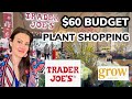 $60 Budget Plant Shopping at Trader Joe's & GROW - Plant Shop With Me & Plant Haul in Charlotte, NC