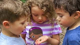 Inquiry and the Outdoor Space in Kindergarten